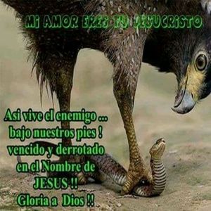 Meet your Posher, Pedrito brito